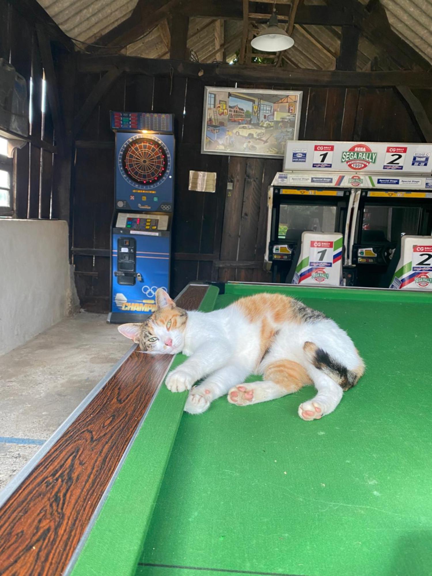 Camping La Ferme De Perdigat Limeuil Zewnętrze zdjęcie