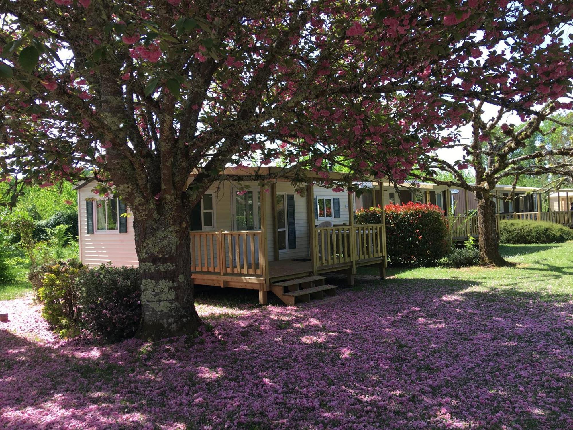 Camping La Ferme De Perdigat Limeuil Zewnętrze zdjęcie