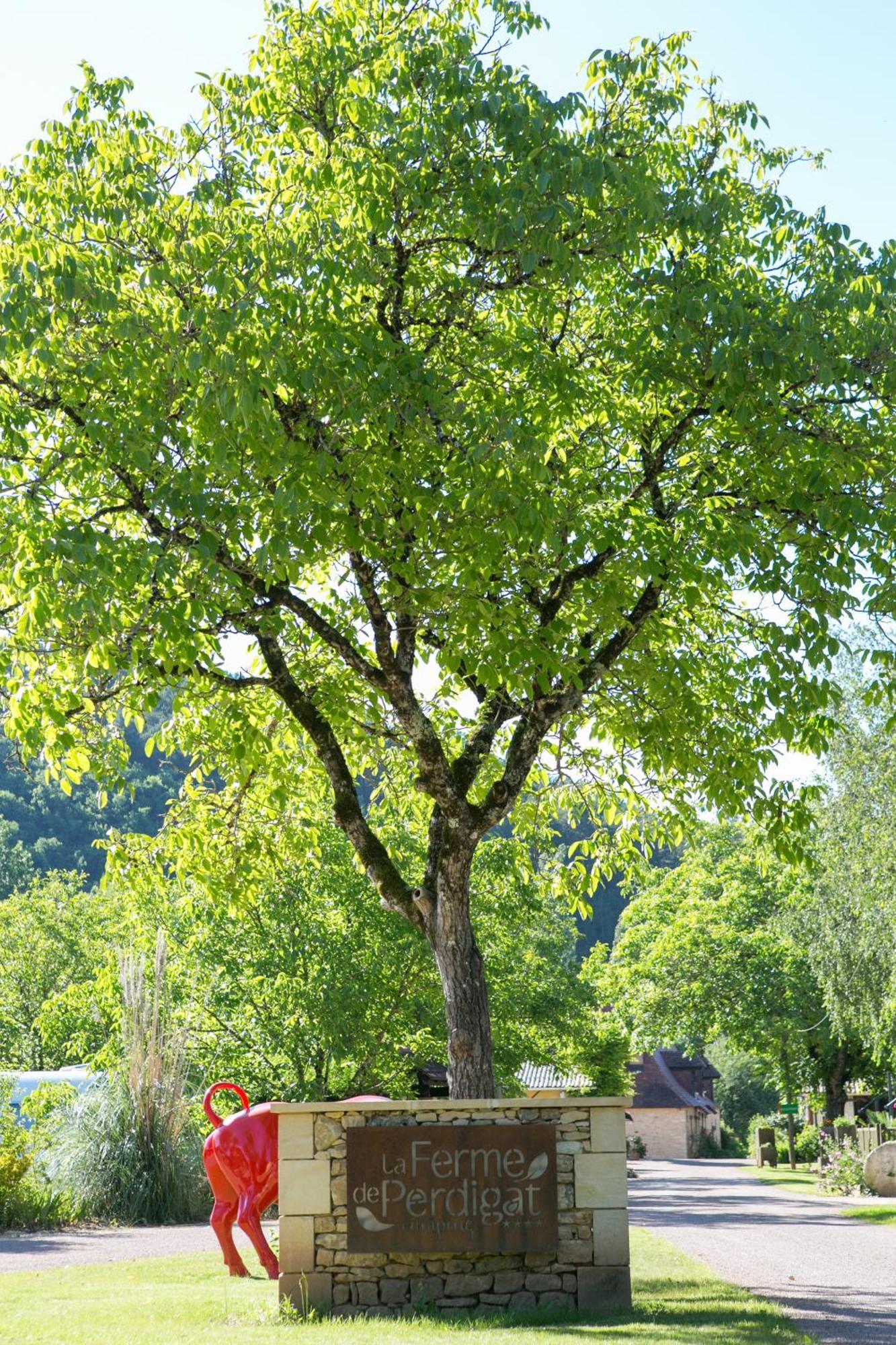 Camping La Ferme De Perdigat Limeuil Zewnętrze zdjęcie